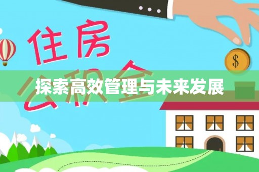 陆良探索高效管理与未来发展