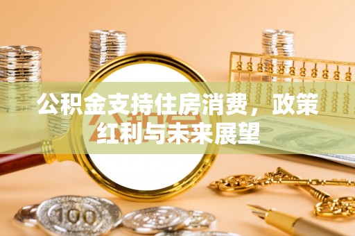 陆良公积金支持住房消费，政策红利与未来展望