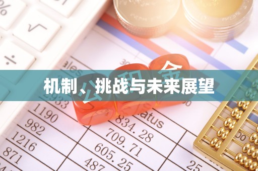 陆良机制、挑战与未来展望